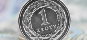 zloty_zlotowka_duza_whitelook_fotolia.com_640