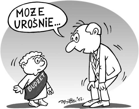 budżet 2013